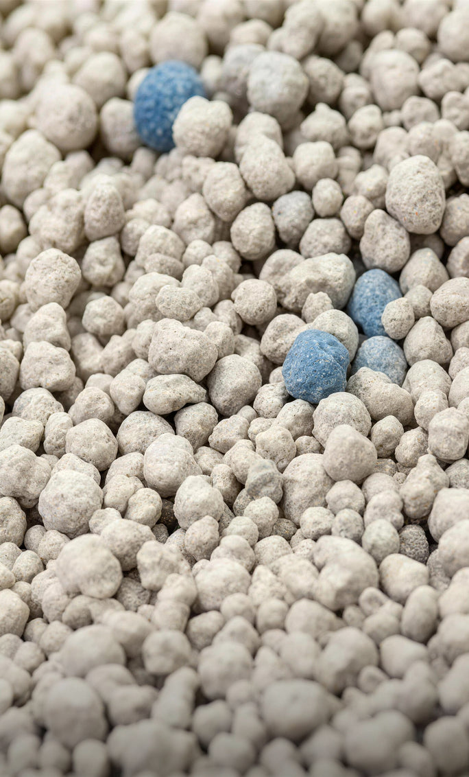 Bentonitinis kraikas - 