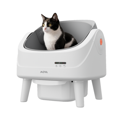 MOVA katės tualetas MeowgicPod LB10 Air