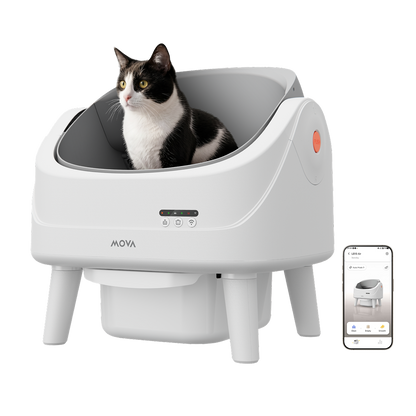 MOVA katės tualetas MeowgicPod LB10 Air