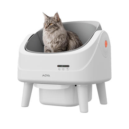 MOVA katės tualetas MeowgicPod LB10 Air