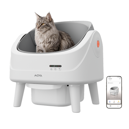 MOVA katės tualetas MeowgicPod LB10 Air