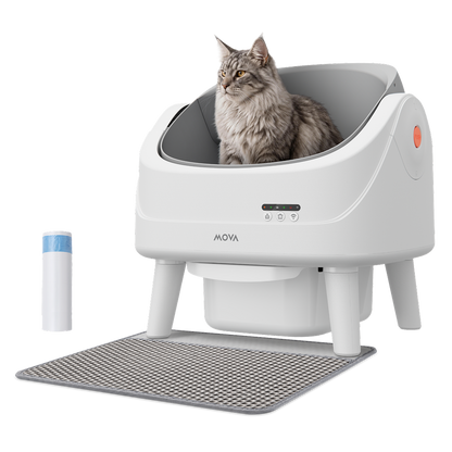 MOVA katės tualetas MeowgicPod LB10 Air